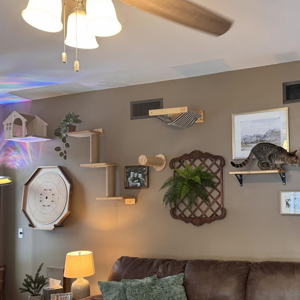 Furniture Paradise & Hardware Ghaziabad By Owner - Мебель для кошек: настенный подвесной мост