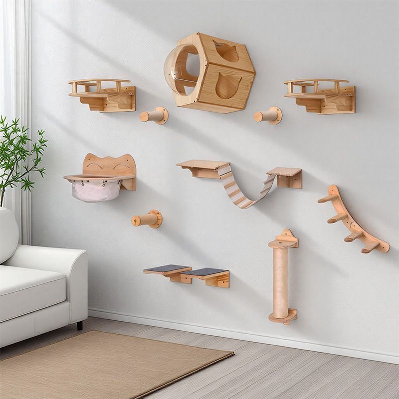 Мебель для кошек: настенный по – обзор и цена Furniture Paradise & Hardware Ghaziabad By Owner
